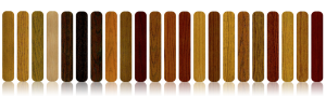 wood_flooring_stains